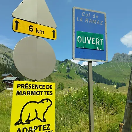 Cocon Alpin - Praz De Lys Sommand Apartment *