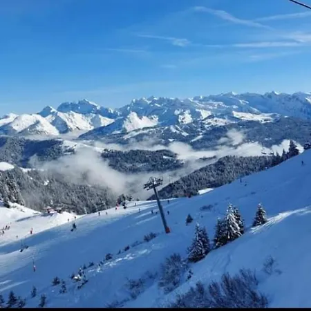 Cocon Alpin - Praz De Lys Sommand Apartment *
