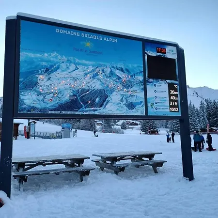 Cocon Alpin - Praz De Lys Sommand Apartment *