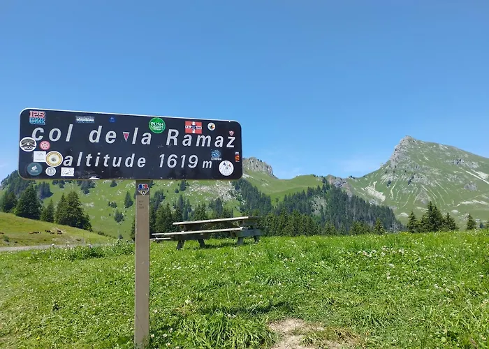 Cocon Alpin - Praz De Lys Sommand Daire